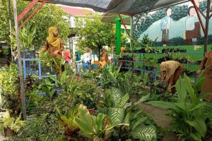 0516cc10-71b4-4bb5-882e-b59fbcbeadc1 0516cc10-71b4-4bb5-882e-b59fbcbeadc1